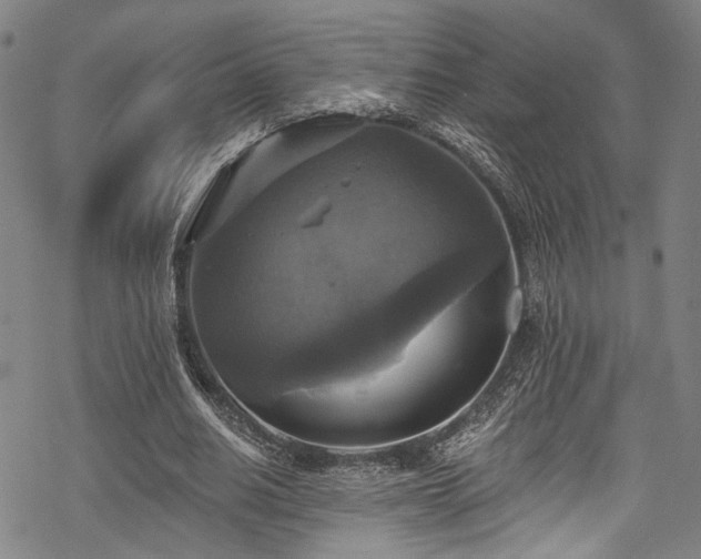 X0000068840630200605051302