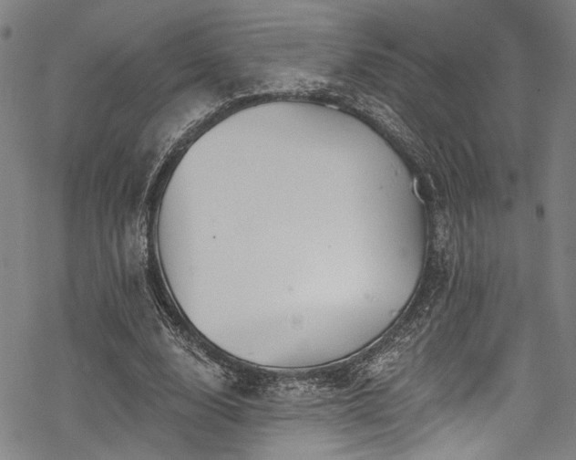 X0000068840632200605051302