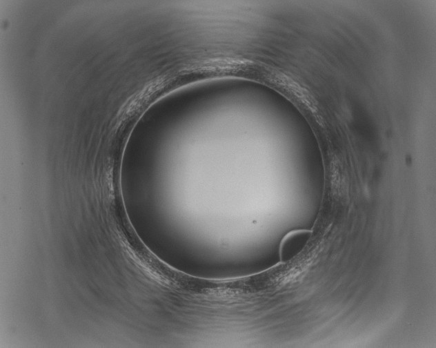 X0000068840633200605051302