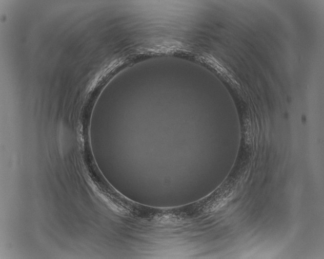 X0000068840634200605051302