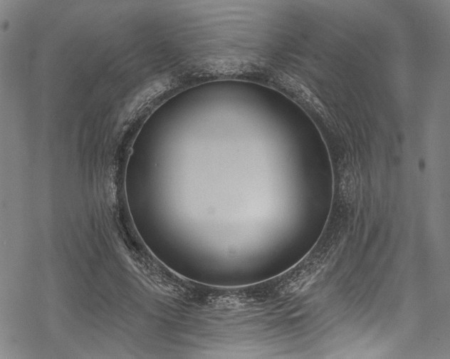 X0000068840635200605051302