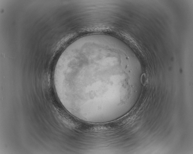 X0000068840636200605051303