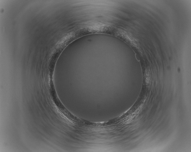 X0000068840637200605051303