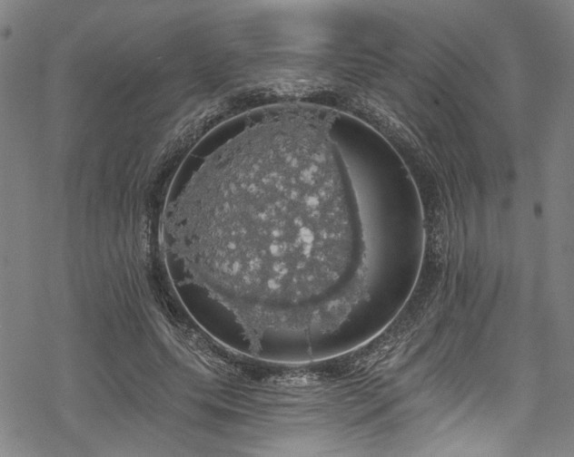 X0000068840639200605051303