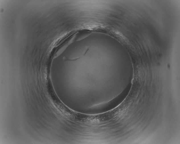 X0000068840640200605051303