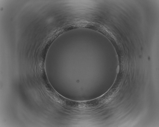 X0000068840641200605051303