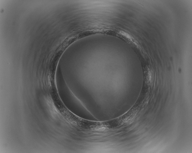 X0000068840643200605051303