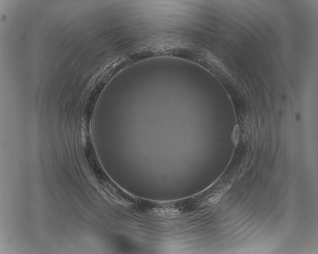 X0000068840644200605051303