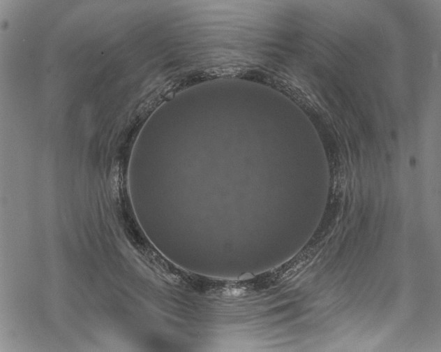 X0000068840647200605051303