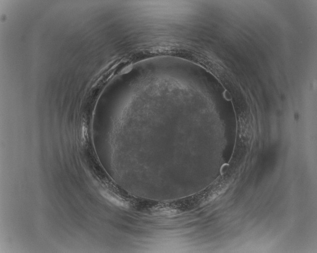 X0000068840648200605051303