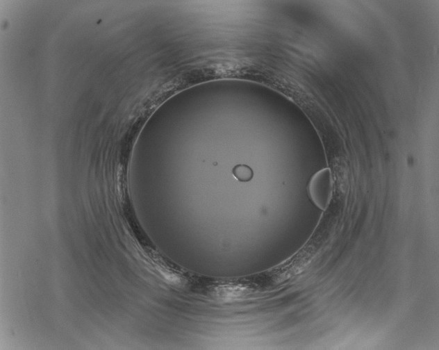 X0000068840650200605051303