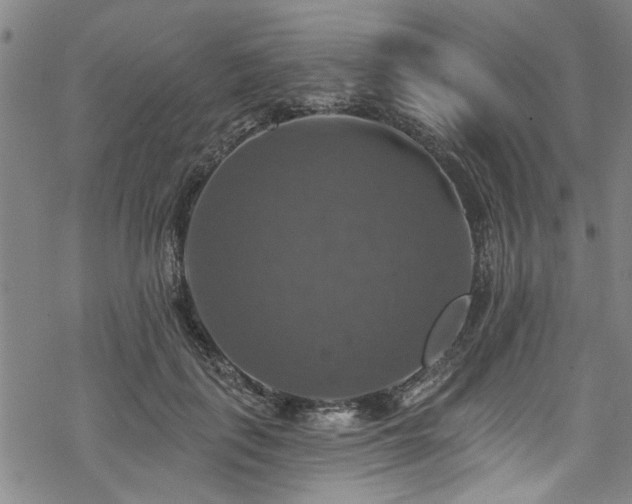 X0000068840651200605051303