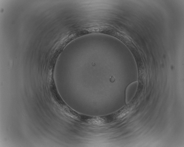 X0000068840652200605051303