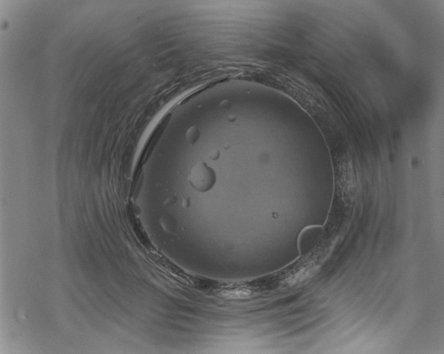 X0000068840653200605051303