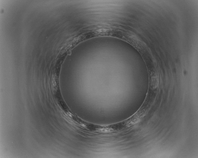 X0000068840654200605051303