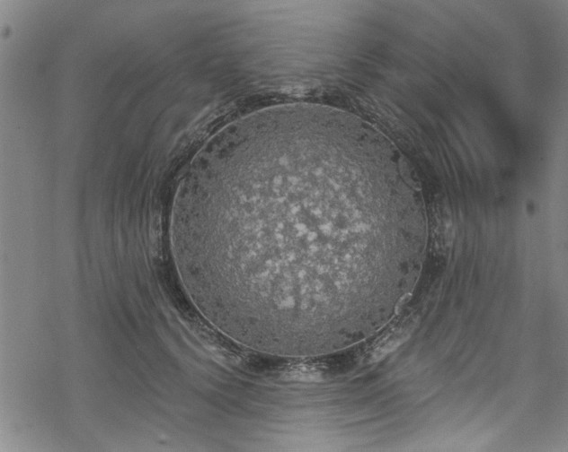 X0000068840656200605051303