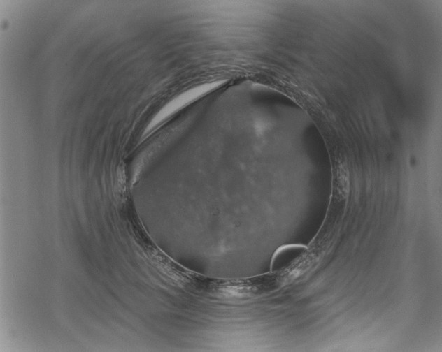 X0000068840657200605051303