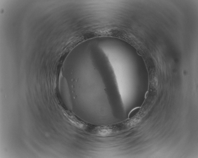 X0000068840658200605051303