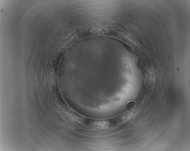 X0000068840659200605051303