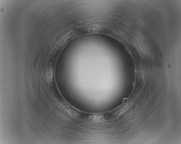 X0000068840660200605051303