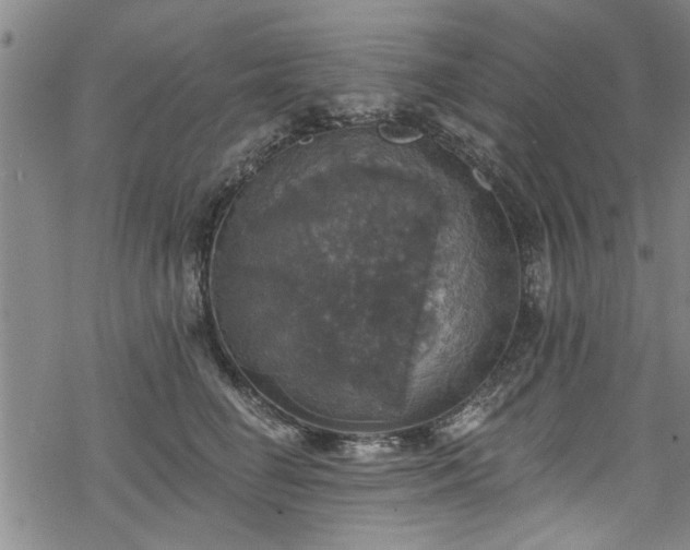 X0000068840662200605051303