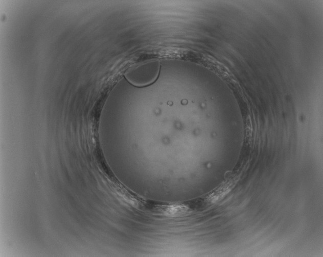 X0000068840663200605051303