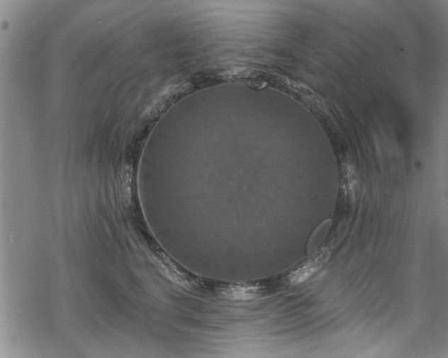 X0000068840664200605051303