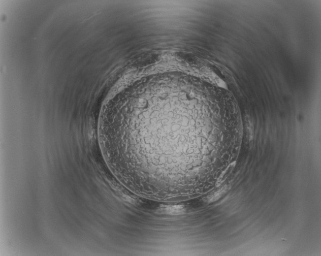 X0000068840665200605051303