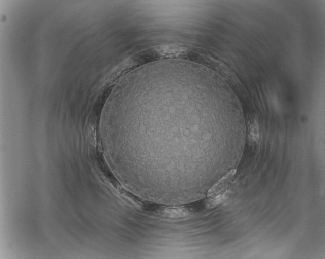 X0000068840666200605051303