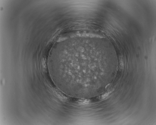 X0000068840667200605051303