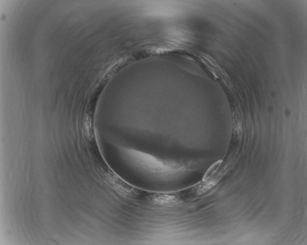 X0000068840669200605051303