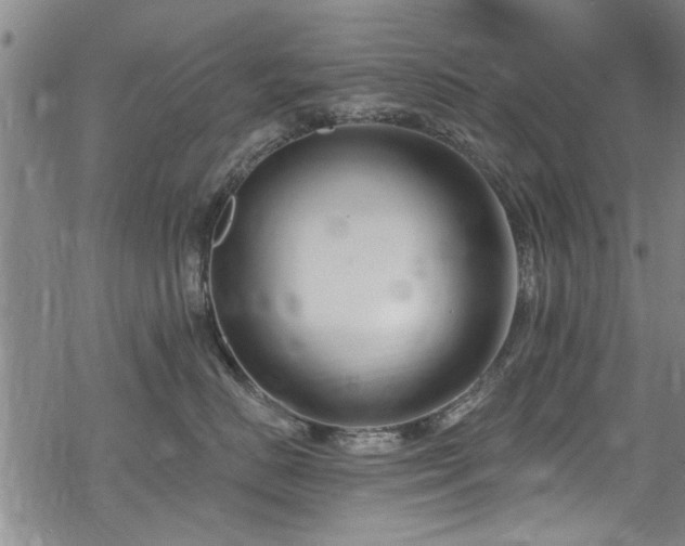 X0000068840670200605051303