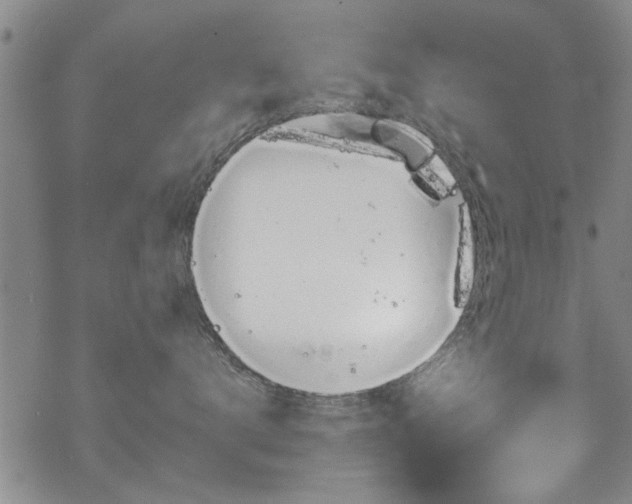 X0000068840672200605051303