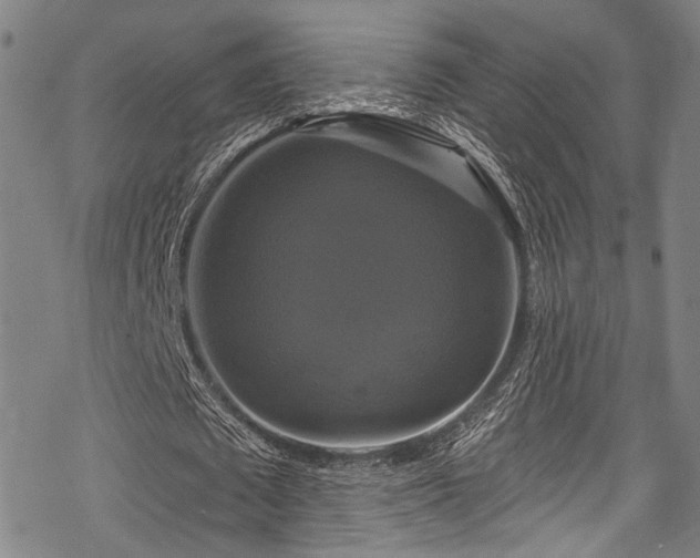 X0000068840673200605051302