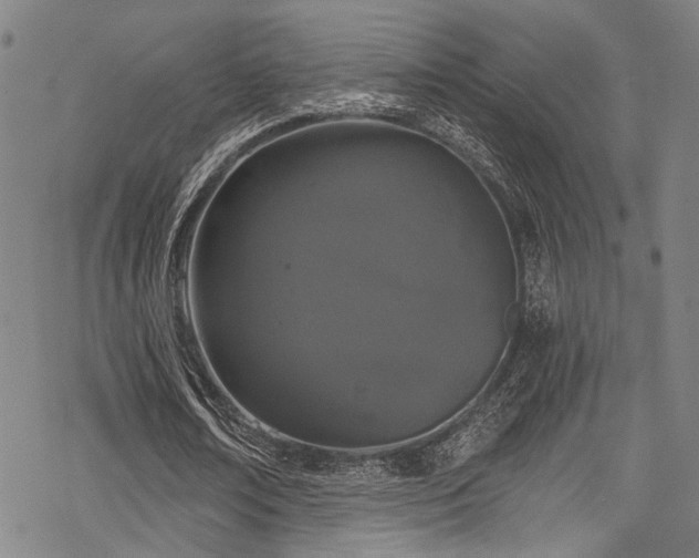 X0000068840674200605051302