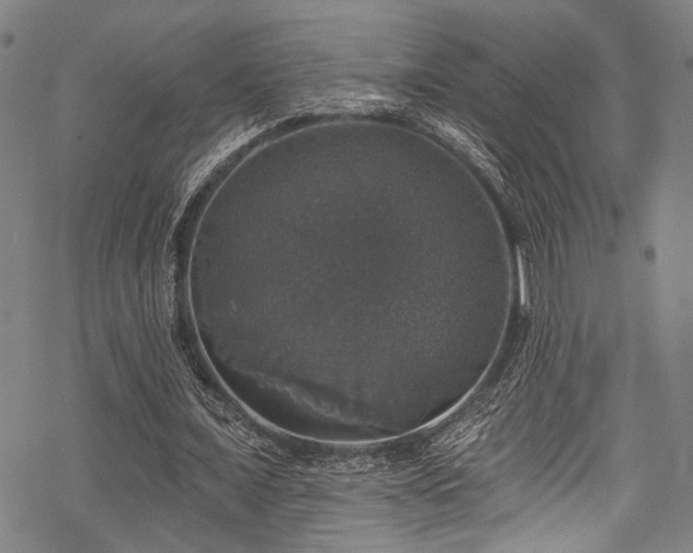 X0000068840675200605051302