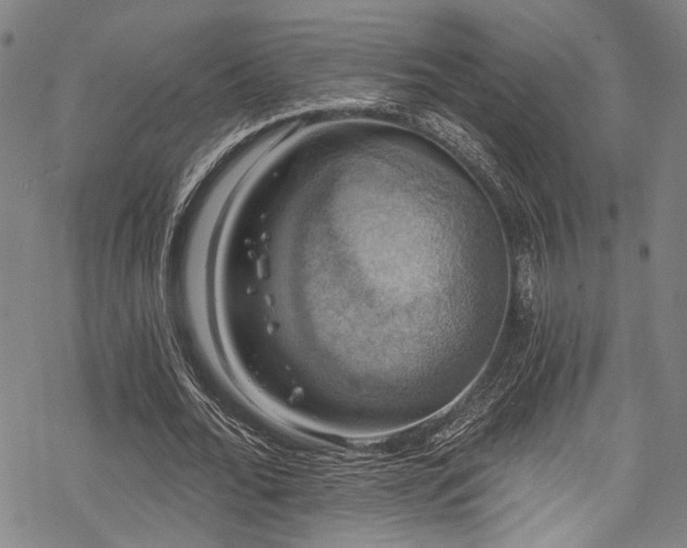 X0000068840676200605051302