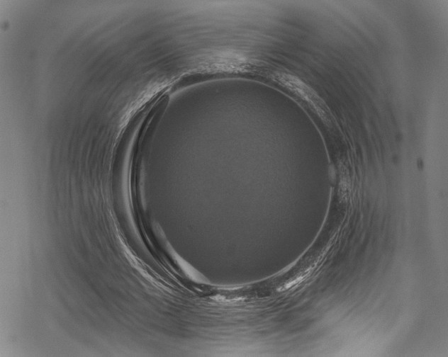 X0000068840677200605051302