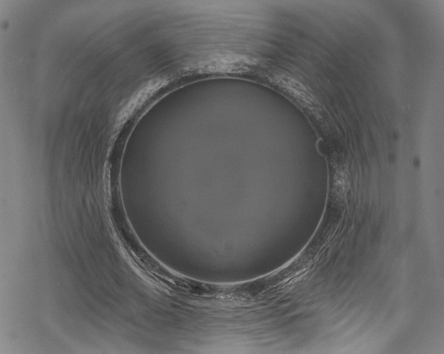 X0000068840678200605051302