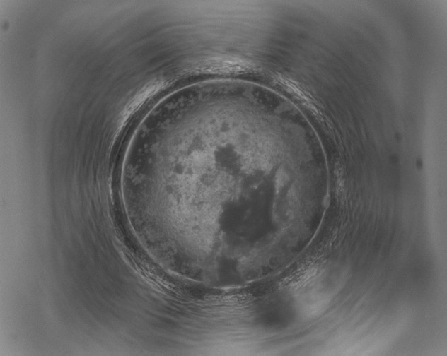 X0000068840679200605051302