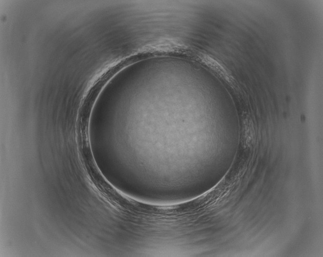 X0000068840680200605051302