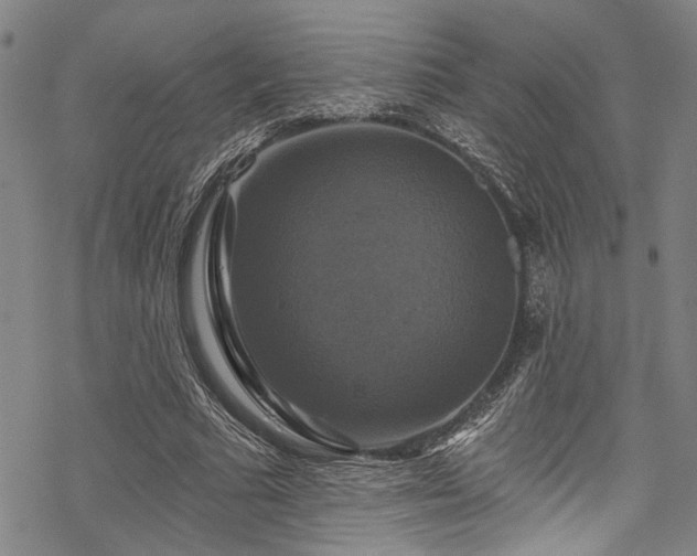 X0000068840681200605051302