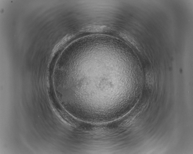 X0000068840682200605051302