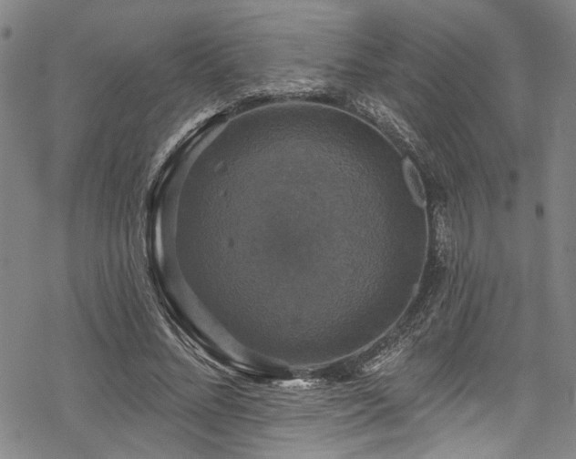 X0000068840684200605051302