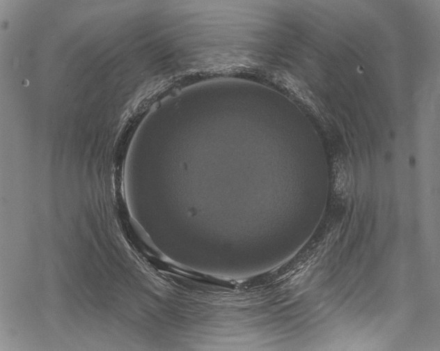 X0000068840685200605051302