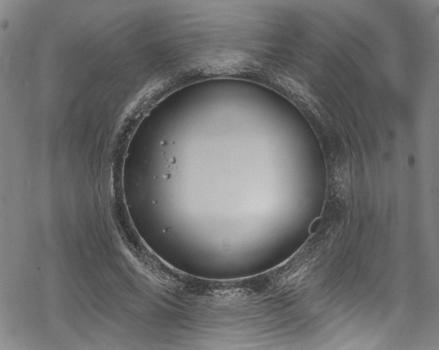 X0000068840686200605051302