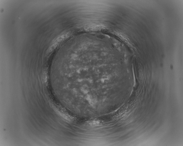 X0000068840687200605051302