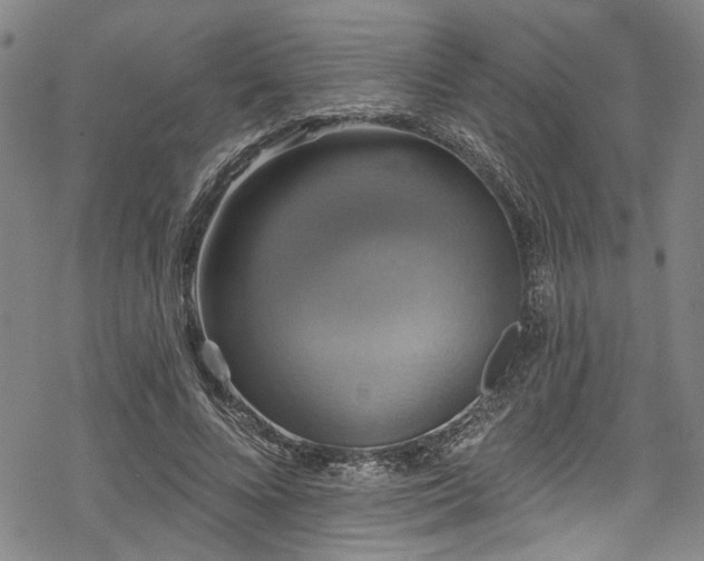 X0000068840688200605051302