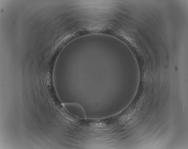 X0000068840689200605051302