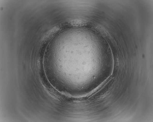 X0000068840690200605051302